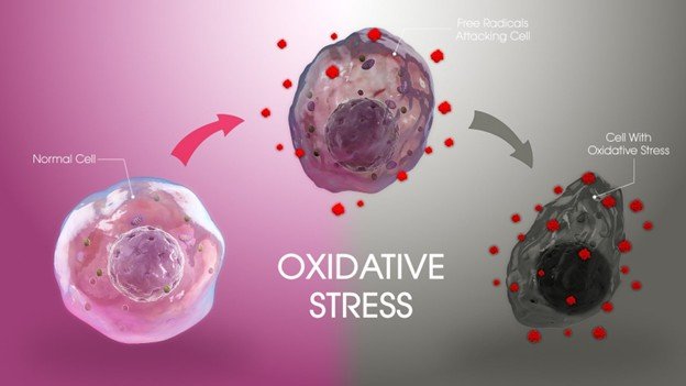 Role of Oxidative Stress in Diabetic Complications